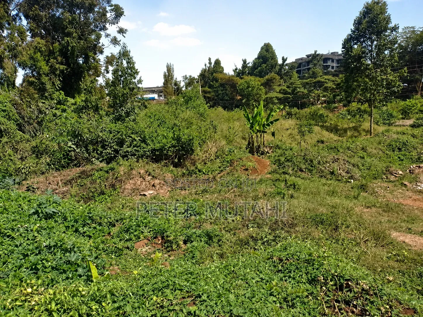 2⁄3acre in Ruaka