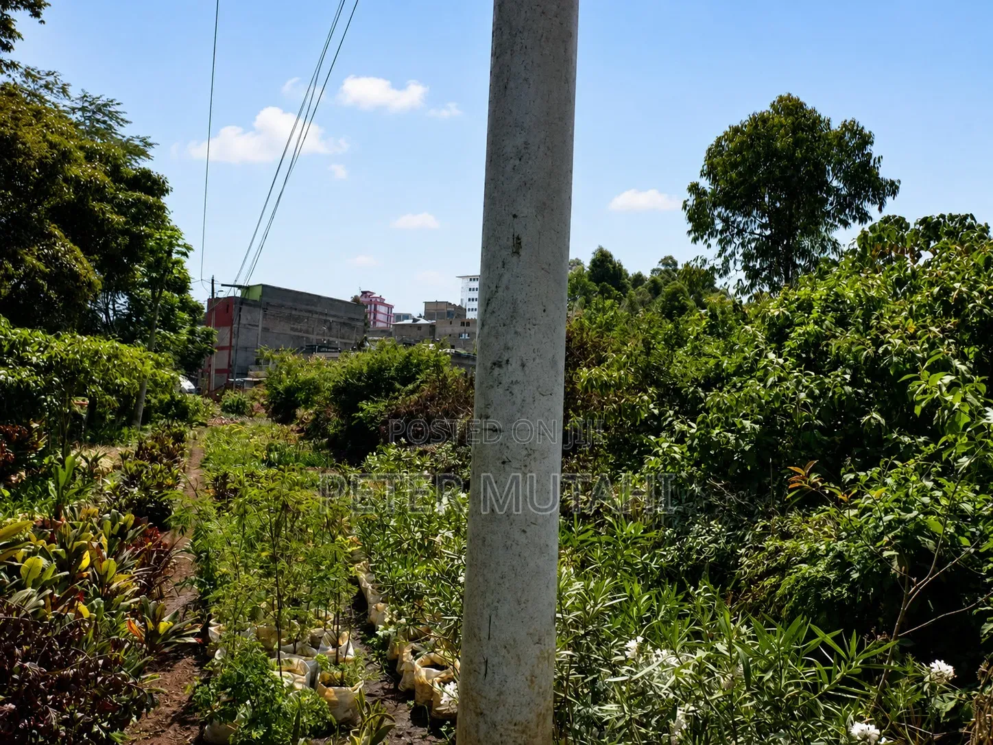 2⁄3acre in Ruaka
