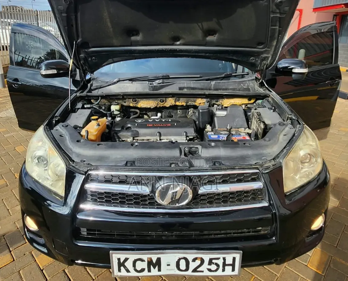 Toyota RAV4 2010 Black