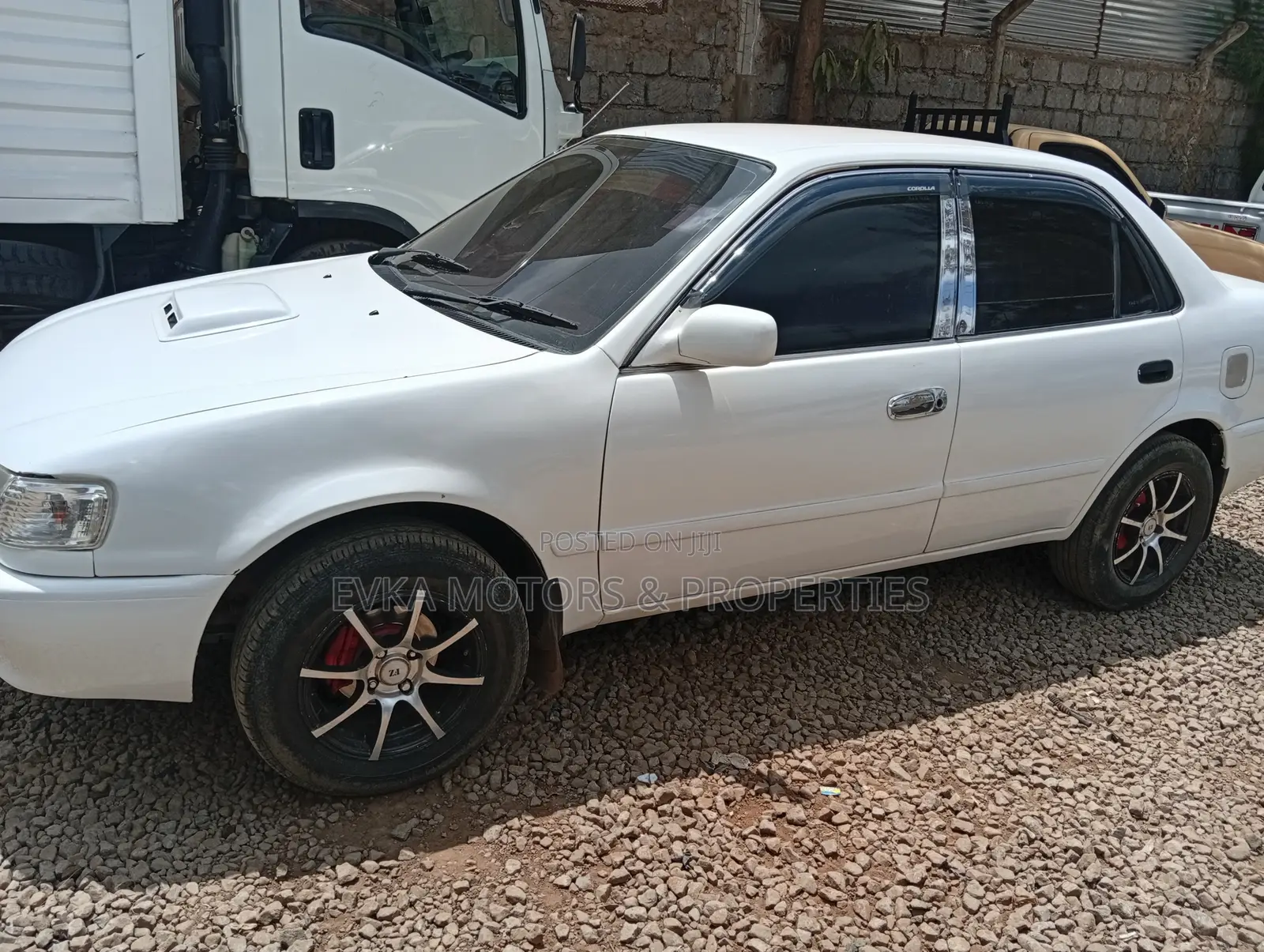 Toyota Corolla 2001 White