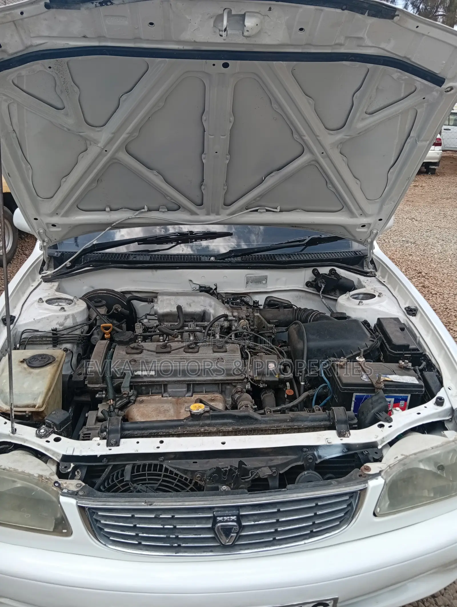 Toyota Corolla 2001 White