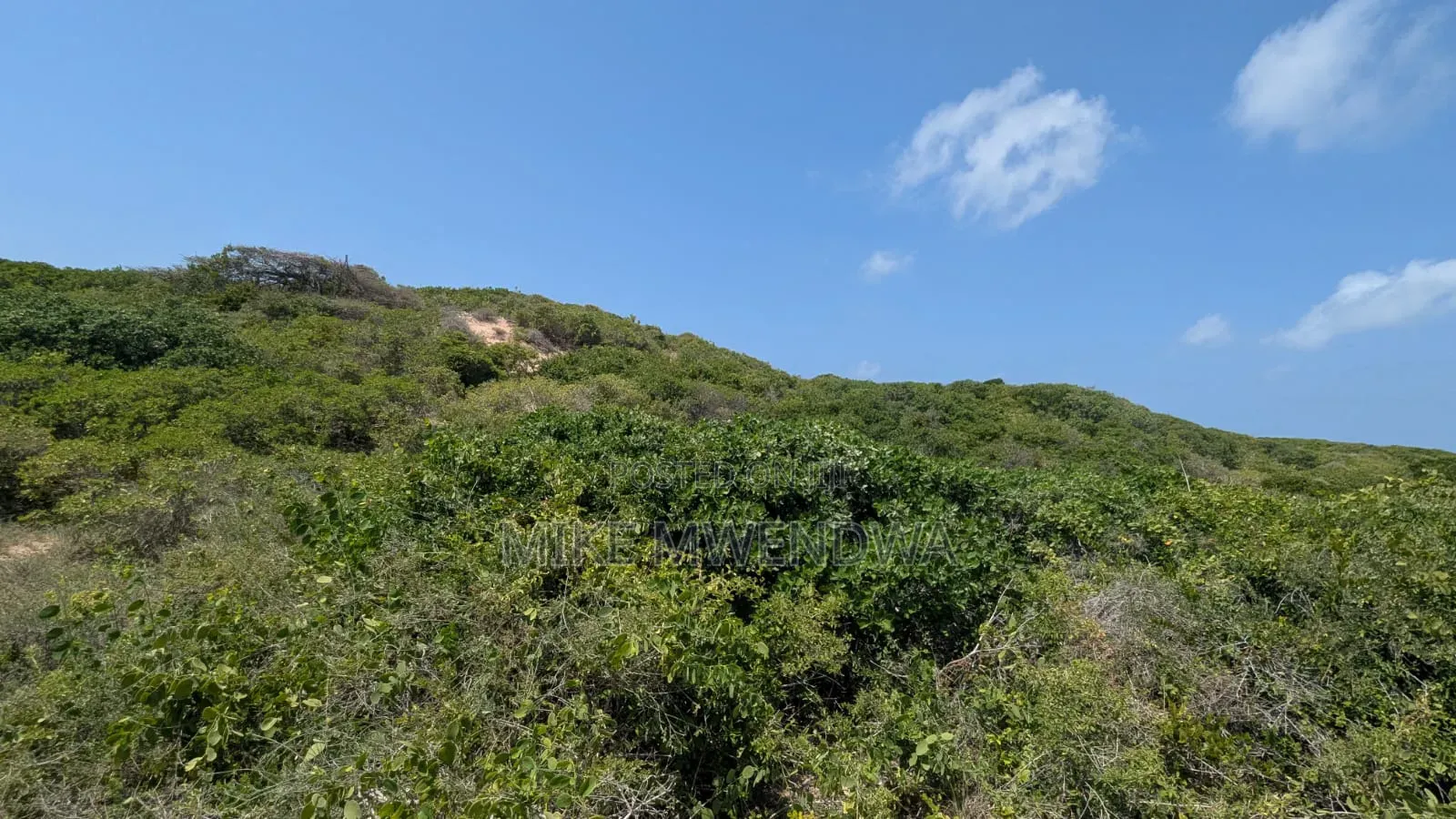 Prime Land