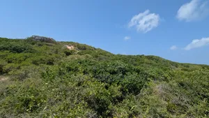 Prime Land