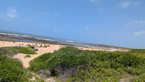 Prime Land