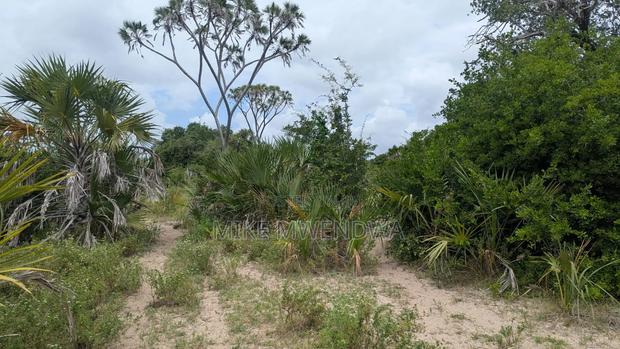 Land and Plots
