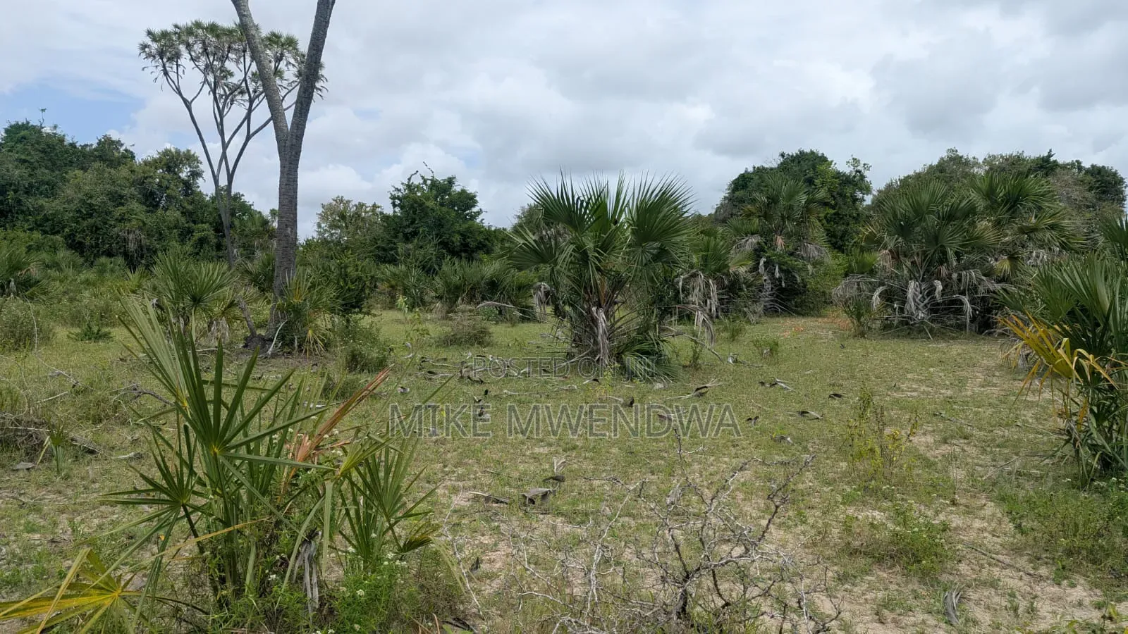 Land and Plots