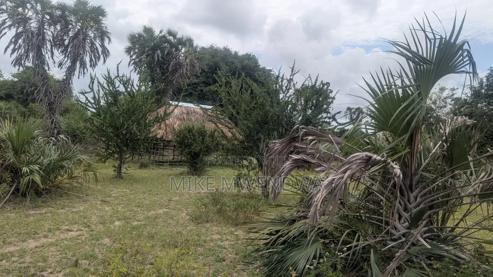 Land and Plots