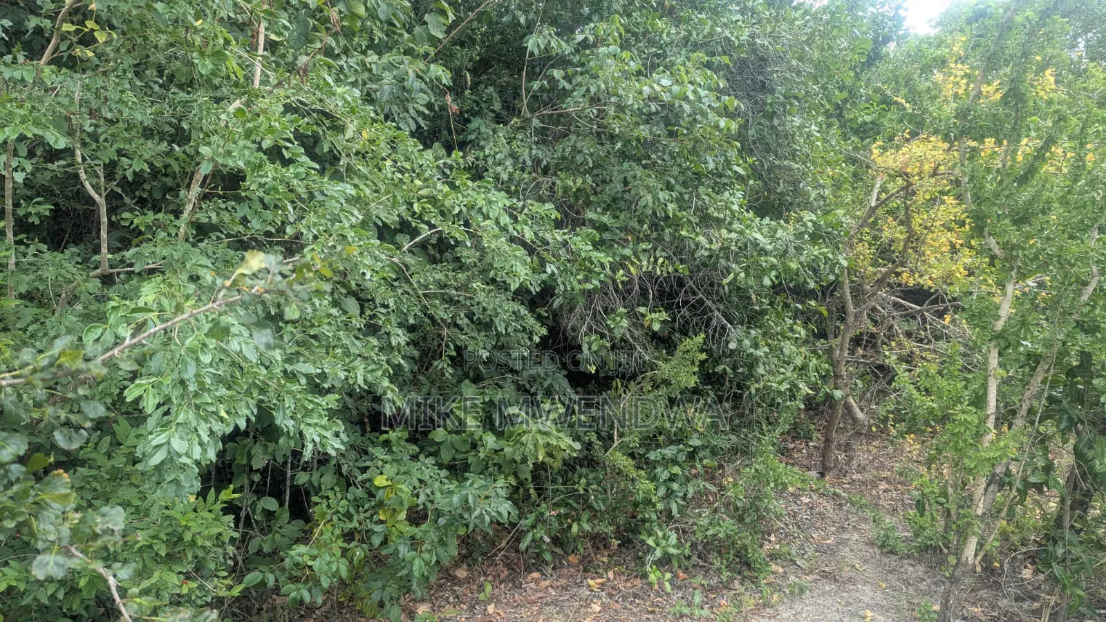 Land and Plots