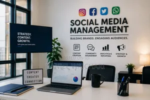 Professional Social Media Management Services