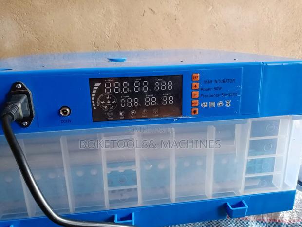 64 Eggs Incubator AC/DC