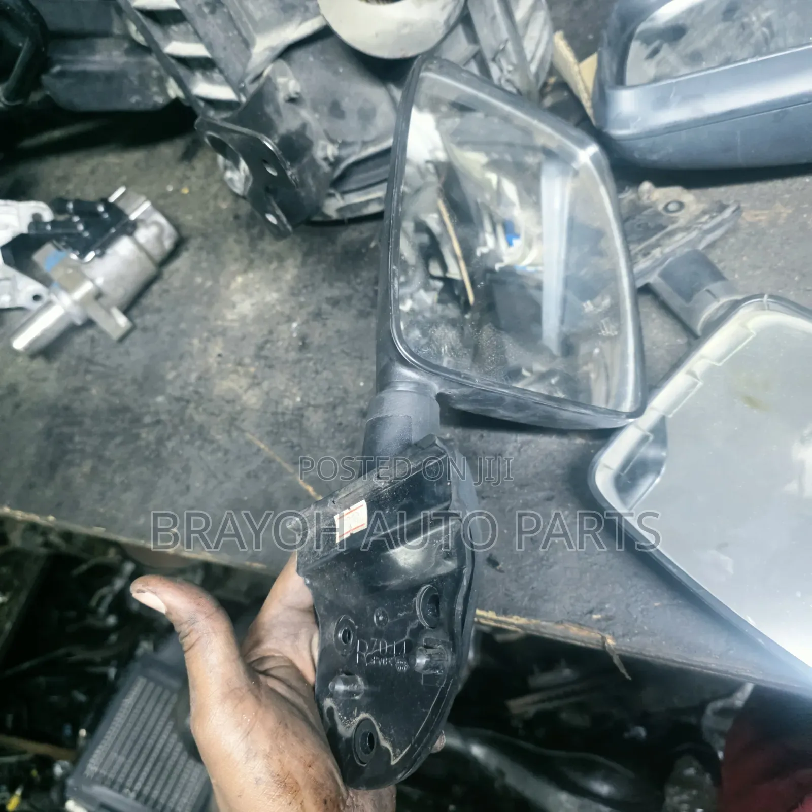 Door Side Mirror Dyna