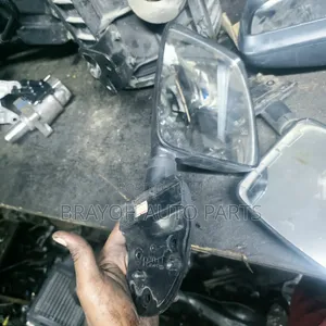Door Side Mirror Dyna
