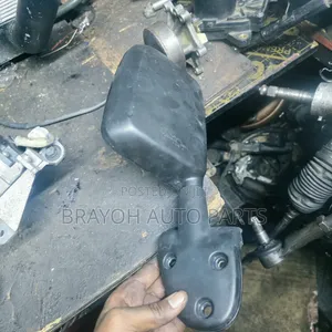 Door Side Mirror Dyna