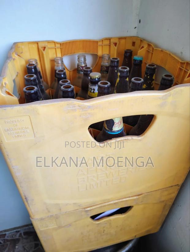 Beer Creates Plus Bottles