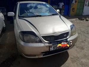 Toyota Allex 2005 Gold