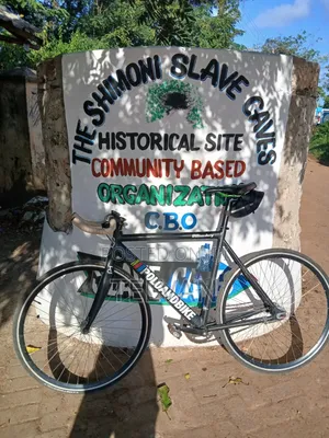 Fixed Bike