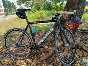 Fixed Bike