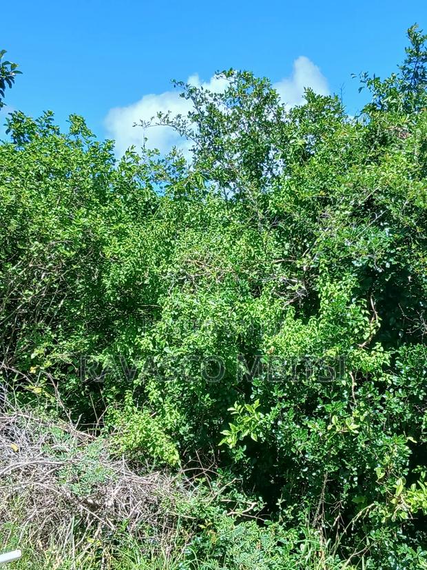 5 Acres Forsale in Malindi Boreshingwaya
