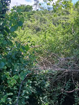 5 Acres Forsale in Malindi Boreshingwaya