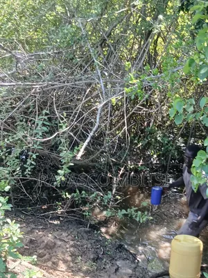 5 Acres Forsale in Malindi Boreshingwaya