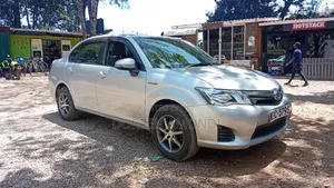 Toyota Axio 2014 Silver