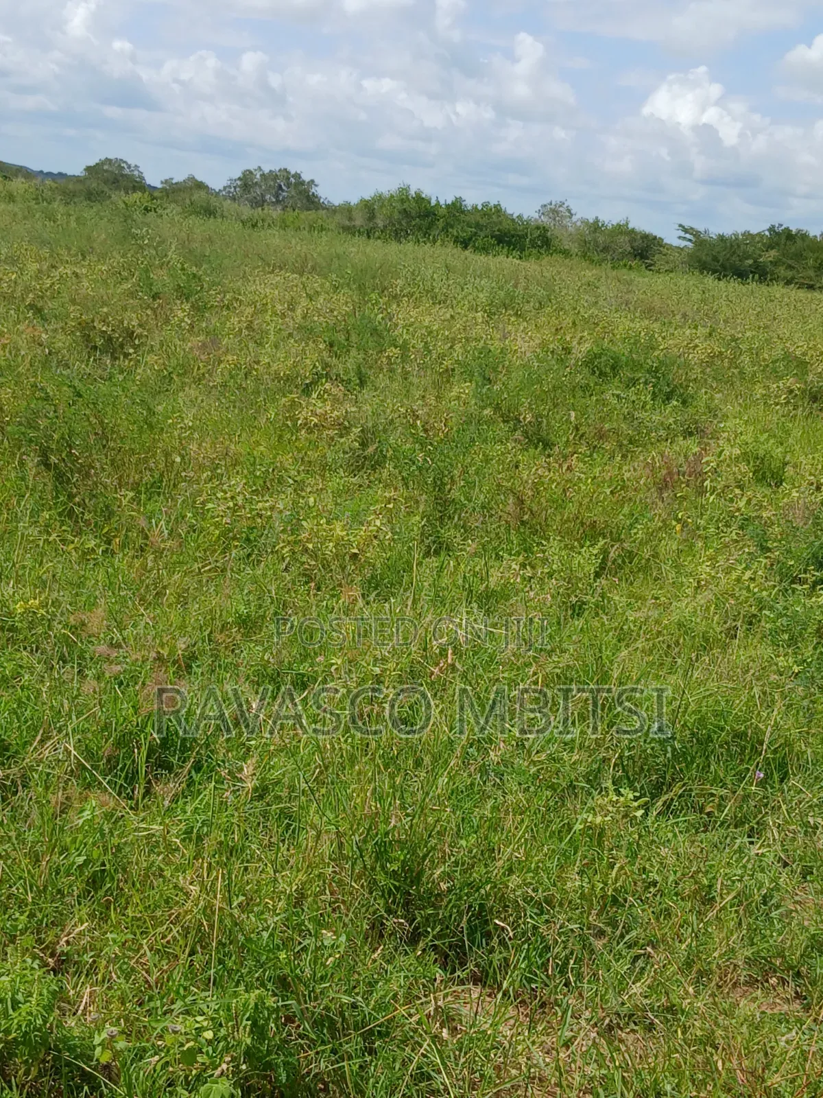 100 Acres Forsale in Malindi Garashi Kanyumbuni .