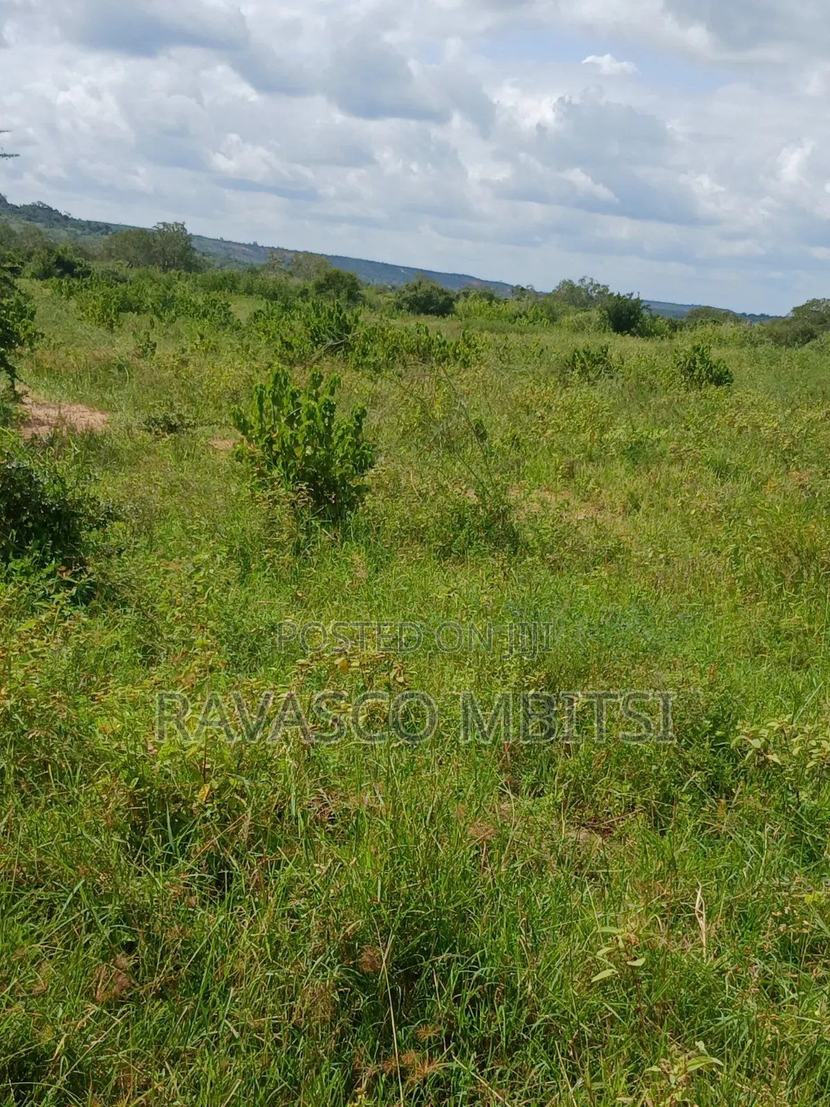 100 Acres Forsale in Malindi Garashi Kanyumbuni .