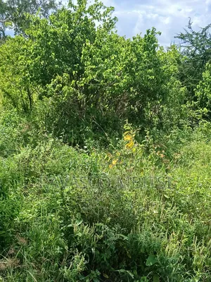 100 Acres Forsale in Malindi Garashi Kanyumbuni .