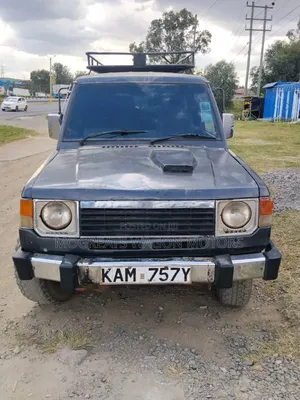 Mitsubishi Pajero Junior 1997 Gray