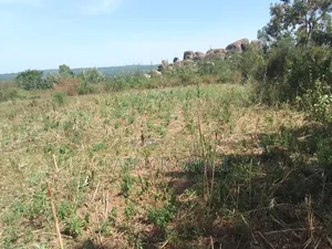 0.2ha for Sale in Kisumu Seme Area Near Yago Market