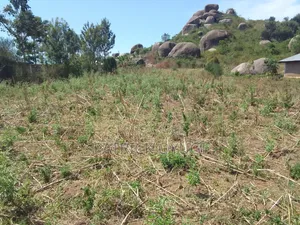 0.2ha for Sale in Kisumu Seme Area Near Yago Market