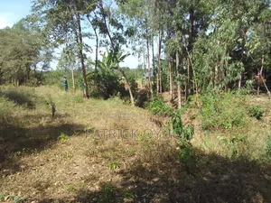 0.3ha for Sale in Kisumu Seme Near Holo Market