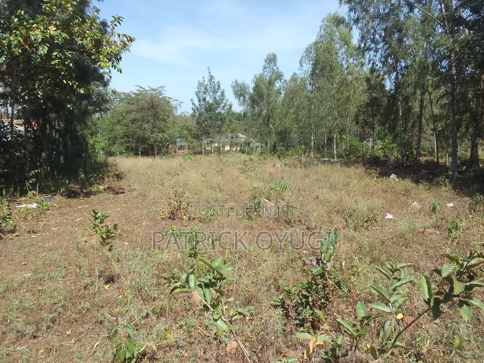 0.3ha for Sale in Kisumu Seme Near Holo Market