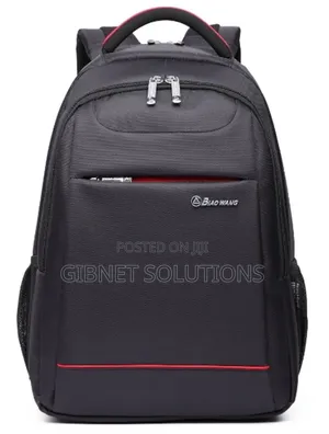 Biaowang Executive Backpack