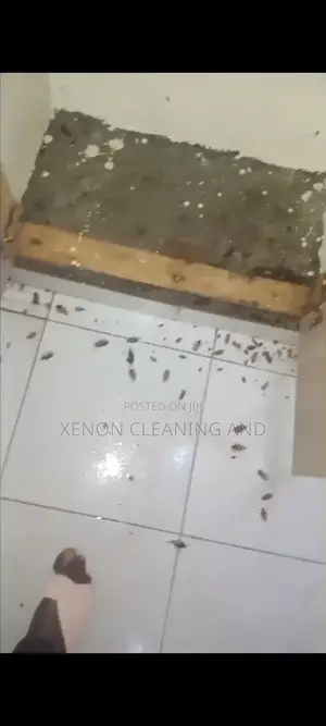 Fumigation Serrvice