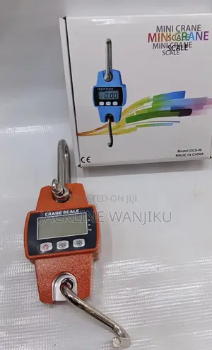 300kgs Portable Weighing Scale/ Digital Weighing Scale 300kgs