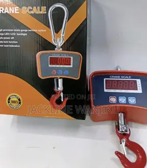 Digital Crane Scale 500kgs / Hanging Weighing Scale 500kgs