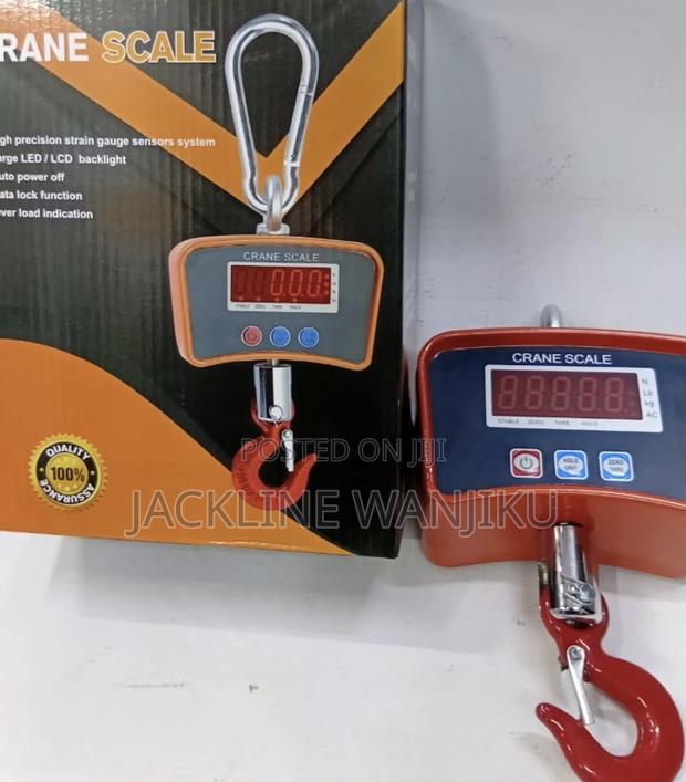 Digital Crane Scale 500kgs / Hanging Weighing Scale 500kgs