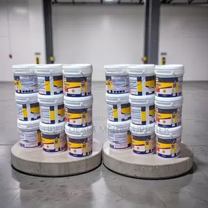 Promo Prices 20L30L,40L Ruff N Tuff Wall Master Textured Paints