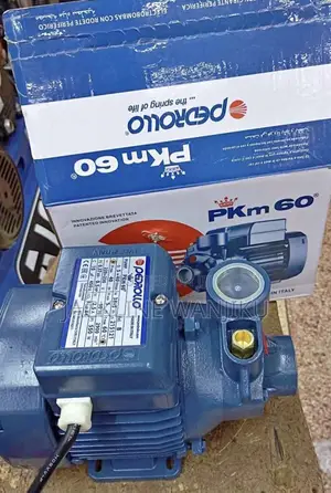 Pedrollo Water Pump PKM 60 / New Water Pump Pedrollo/ PKM 60 Pedrollo