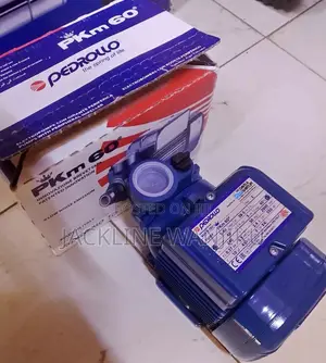 0.5hp Pedrollo Water Pump / PKM 60 Booster Pump 0.5hp Pedrollo