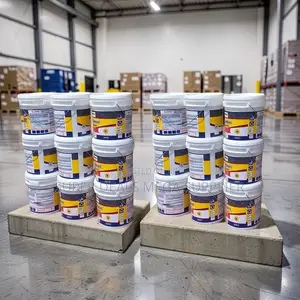 Import Prices 20L30L,40L Ruff N Tuff Wall Master Textured Paints