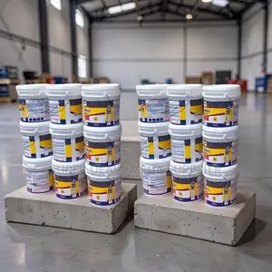 Supplier Prices 20L30L,40L Ruff N Tuff Wall Master Textured Paints