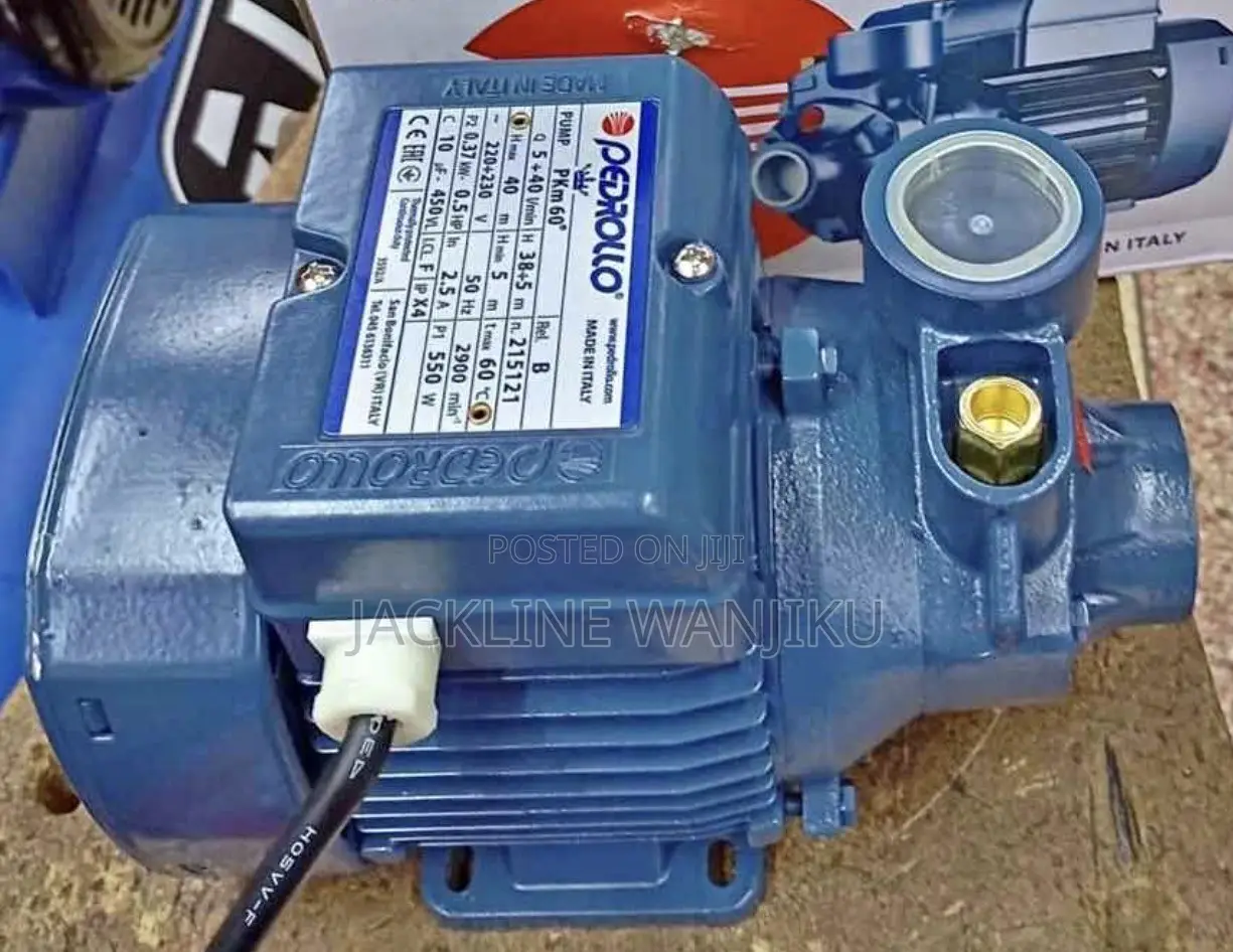 Original Pedrollo Water Pump 0.5hp(made in Italy)