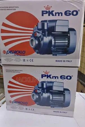 Pedrollo Surface Water Pump/PKM 60 Pedrollo Water Pump/ Pedrollo 0.5hp