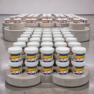 Retailer Prices 20L30L,40L Ruff N Tuff Wall Master Textured Paints