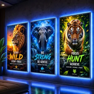 50cm X 70cm,led Light Frames,frames,led Frames