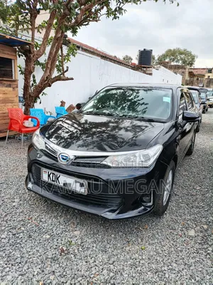 Toyota Corolla Fielder 2015 Black