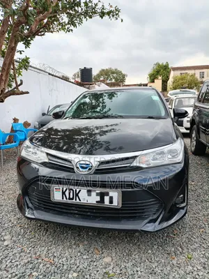 Toyota Corolla Fielder 2015 Black