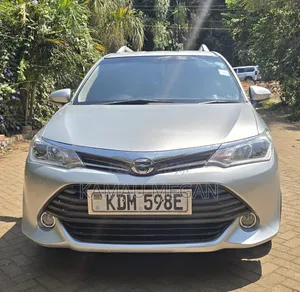 Toyota Corolla Fielder 2016 Silver